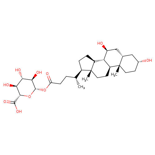 β-D-Glucopyranuronic acid, 1-[(3α,5β,7β)-3,7-dihydroxycholan-24-oate]