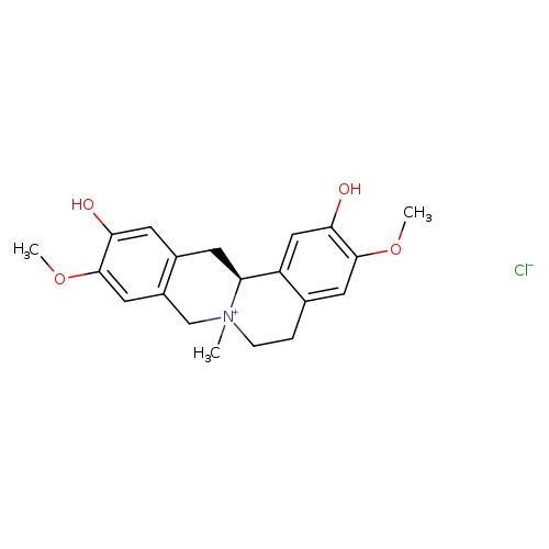 Phellodendrine chloride