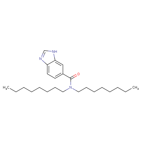 N,N-Dioctylbenzimidazole-5-carboxamide