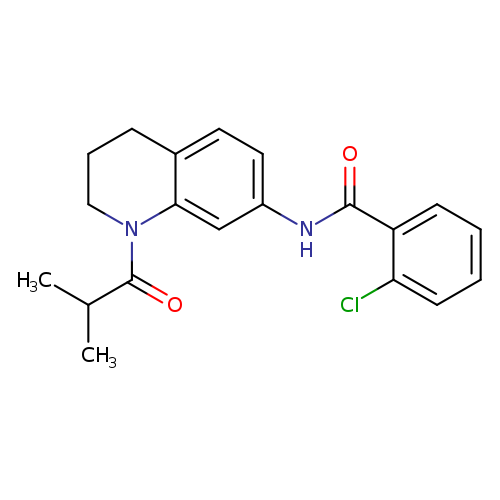 2-chloro-N-[1-(2-methylpropanoyl)-1,2,3,4-tetrahydroquinolin-7-yl]benzamide
