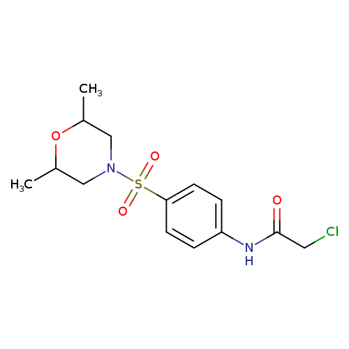 2-CHLORO-N-[4-[(2,6-DIMETHYLMORPHOLIN-4-YL)SULFONYL]PHENYL]ACETAMIDE