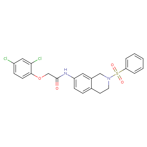 N-[2-(benzenesulfonyl)-1,2,3,4-tetrahydroisoquinolin-7-yl]-2-(2,4-dichlorophenoxy)acetamide