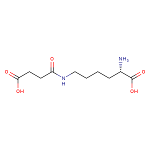 (S)-2-Amino-6-(3-carboxypropanamido)hexanoic acid