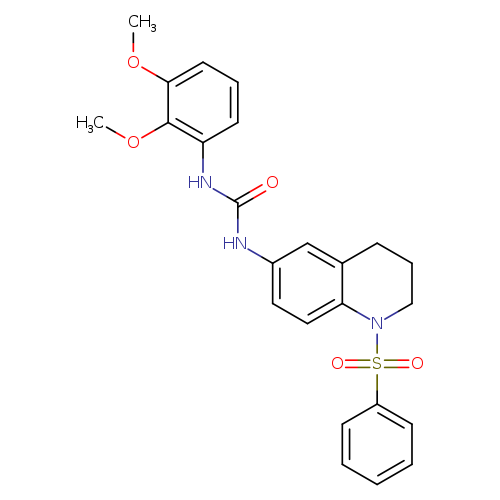 3-[1-(benzenesulfonyl)-1,2,3,4-tetrahydroquinolin-6-yl]-1-(2,3-dimethoxyphenyl)urea