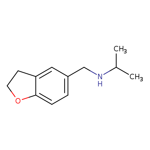 (2,3-dihydro-1-benzofuran-5-ylmethyl)(propan-2-yl)amine