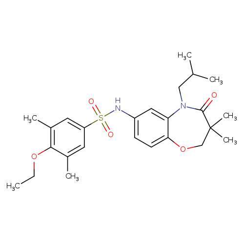 N-[3,3-dimethyl-5-(2-methylpropyl)-4-oxo-2,3,4,5-tetrahydro-1,5-benzoxazepin-7-yl]-4-ethoxy-3,5-dimethylbenzene-1-sulfonamide
