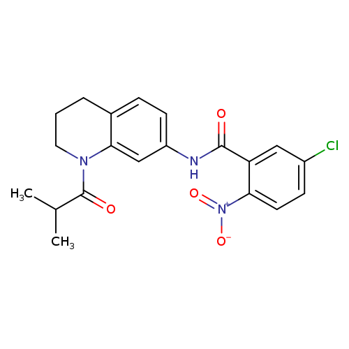 5-chloro-N-[1-(2-methylpropanoyl)-1,2,3,4-tetrahydroquinolin-7-yl]-2-nitrobenzamide