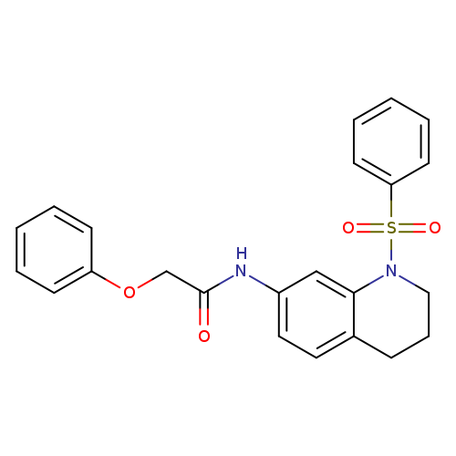 N-[1-(benzenesulfonyl)-1,2,3,4-tetrahydroquinolin-7-yl]-2-phenoxyacetamide