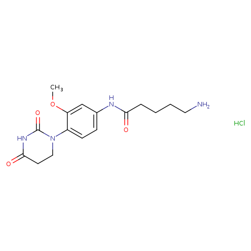 5-amino-N-[4-(2,4-dioxo-1,3-diazinan-1-yl)-3-methoxyphenyl]pentanamide hydrochloride