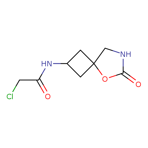 2-chloro-N-{6-oxo-5-oxa-7-azaspiro[3.4]octan-2-yl}acetamide
