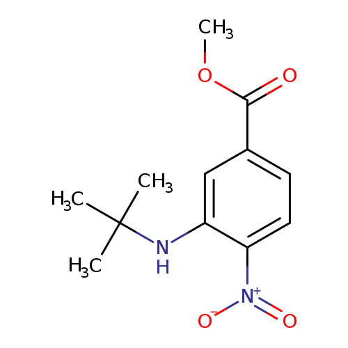 Methyl 3-(t-butylamino)-4-nitrobenzoate