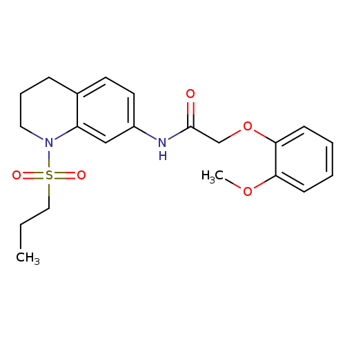 2-(2-methoxyphenoxy)-N-[1-(propane-1-sulfonyl)-1,2,3,4-tetrahydroquinolin-7-yl]acetamide