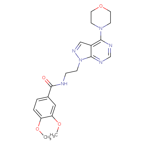 3,4-dimethoxy-N-{2-[4-(morpholin-4-yl)-1H-pyrazolo[3,4-d]pyrimidin-1-yl]ethyl}benzamide