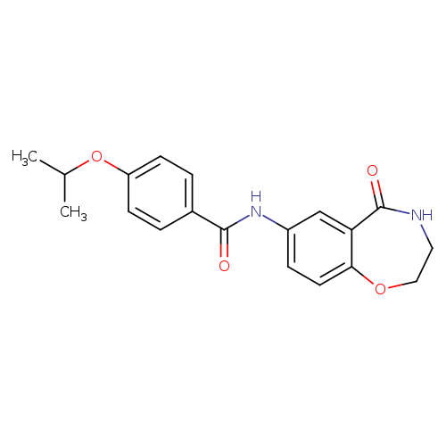 N-(5-oxo-2,3,4,5-tetrahydro-1,4-benzoxazepin-7-yl)-4-(propan-2-yloxy)benzamide