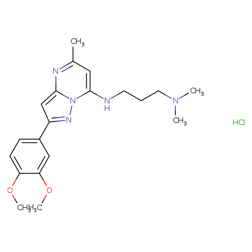 2-(3,4-dimethoxyphenyl)-N-[3-(dimethylamino)propyl]-5-methylpyrazolo[1,5-a]pyrimidin-7-amine hydrochloride