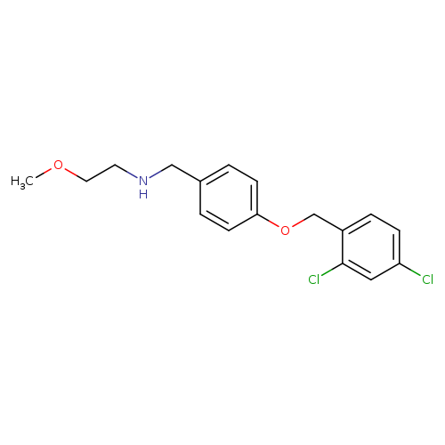 N-{4-[(2,4-dichlorobenzyl)oxy]benzyl}-N-(2-methoxyethyl)amine