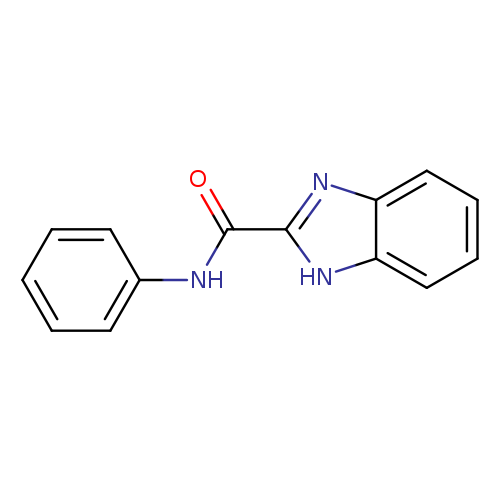 N-Phenyl-1H-1,3-benzodiazole-2-carboxamide