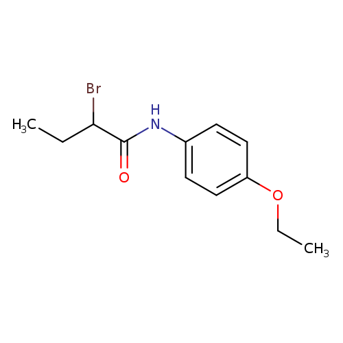2-Bromo-n-(4-ethoxyphenyl)butanamide