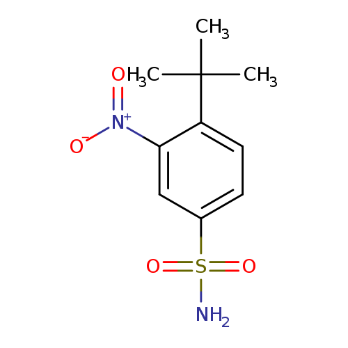 4-tert-butyl-3-nitrobenzene-1-sulfonamide