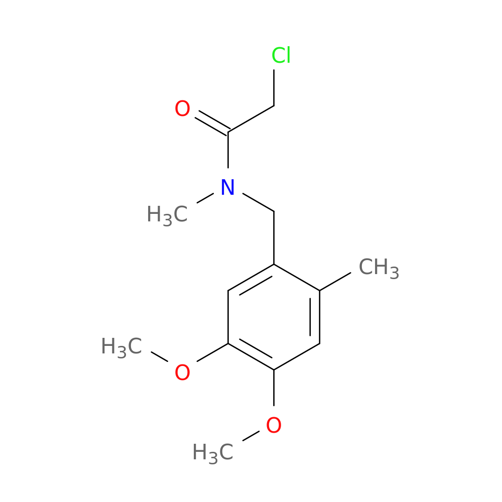 2-chloro-N-[(4,5-dimethoxy-2-methylphenyl)methyl]-N-methylacetamide