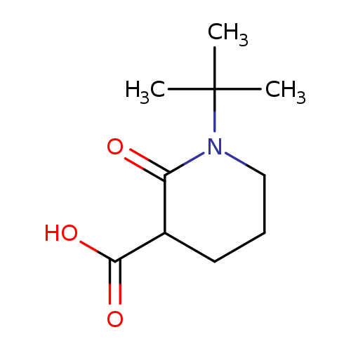1-tert-butyl-2-oxopiperidine-3-carboxylic acid