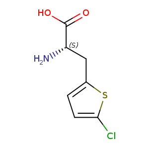 (2S)-2-amino-3-(5-chlorothiophen-2-yl)propanoic acid