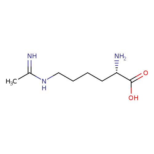 N-(5-AMINO-5-CARBOXYPENTYL)-ACETAMIDINE