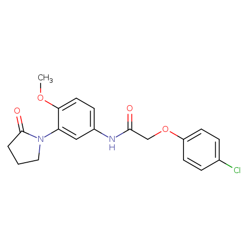 2-(4-chlorophenoxy)-N-[4-methoxy-3-(2-oxopyrrolidin-1-yl)phenyl]acetamide