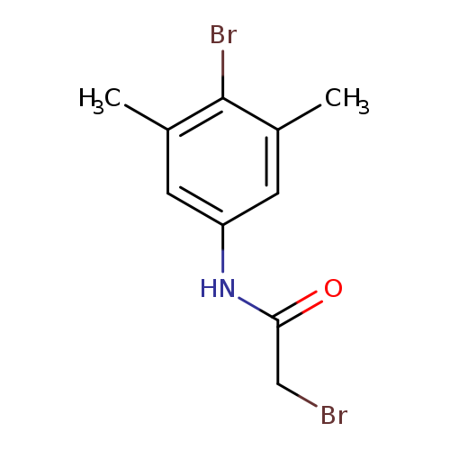 2-Bromo-n-(4-bromo-3,5-dimethylphenyl)acetamide