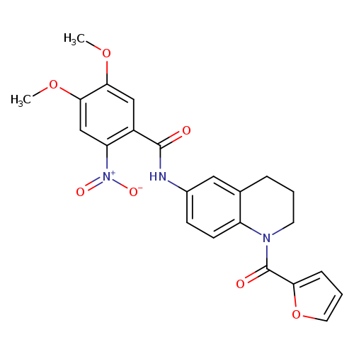 N-[1-(furan-2-carbonyl)-1,2,3,4-tetrahydroquinolin-6-yl]-4,5-dimethoxy-2-nitrobenzamide