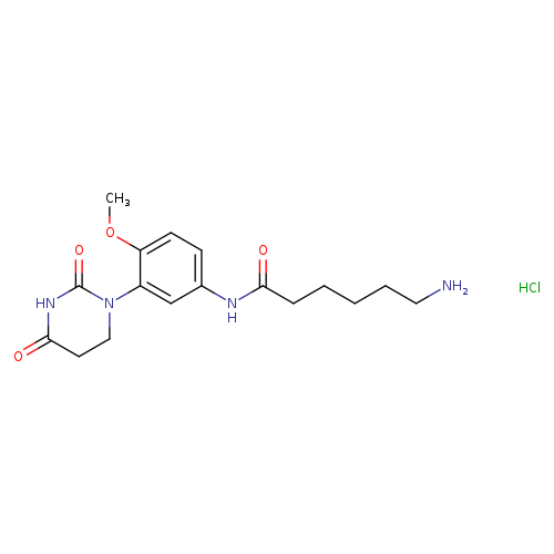 6-amino-N-[3-(2,4-dioxo-1,3-diazinan-1-yl)-4-methoxyphenyl]hexanamidehydrochloride