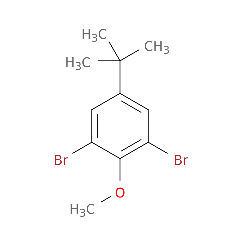 2,6-Dibromo-4-tert-butylanisole