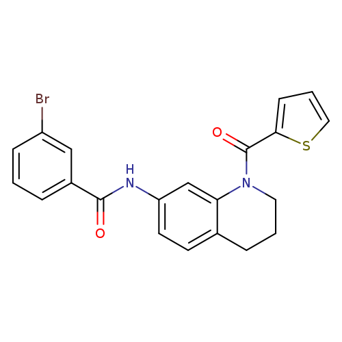 3-bromo-N-[1-(thiophene-2-carbonyl)-1,2,3,4-tetrahydroquinolin-7-yl]benzamide