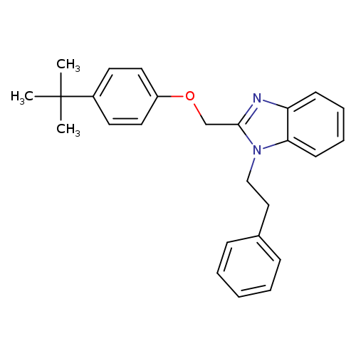 2-[(4-tert-butylphenoxy)methyl]-1-(2-phenylethyl)-1H-1,3-benzodiazole