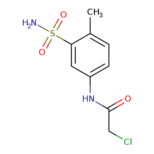 2-chloro-N-(4-methyl-3-sulfamoylphenyl)acetamide