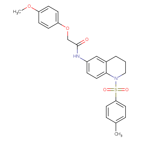 2-(4-methoxyphenoxy)-N-[1-(4-methylbenzenesulfonyl)-1,2,3,4-tetrahydroquinolin-6-yl]acetamide
