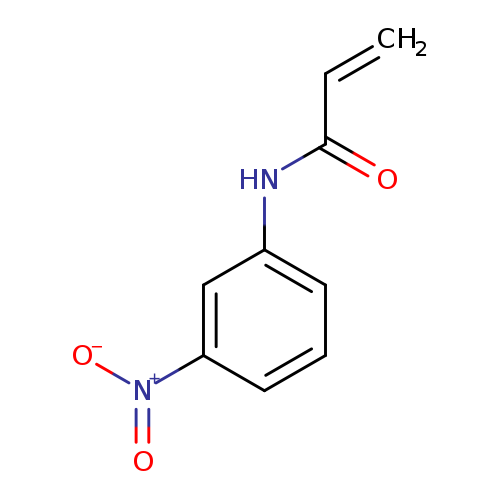 3-nitro-N-acrylphenylamine