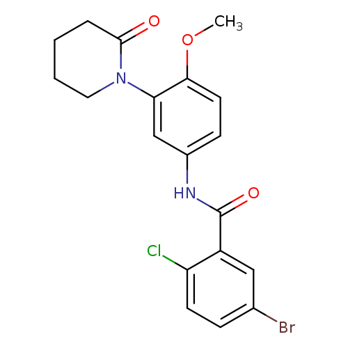 5-bromo-2-chloro-N-[4-methoxy-3-(2-oxopiperidin-1-yl)phenyl]benzamide
