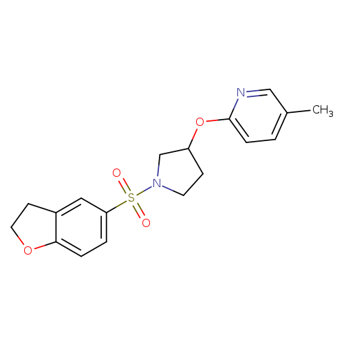 2-{[1-(2,3-dihydro-1-benzofuran-5-sulfonyl)pyrrolidin-3-yl]oxy}-5-methylpyridine