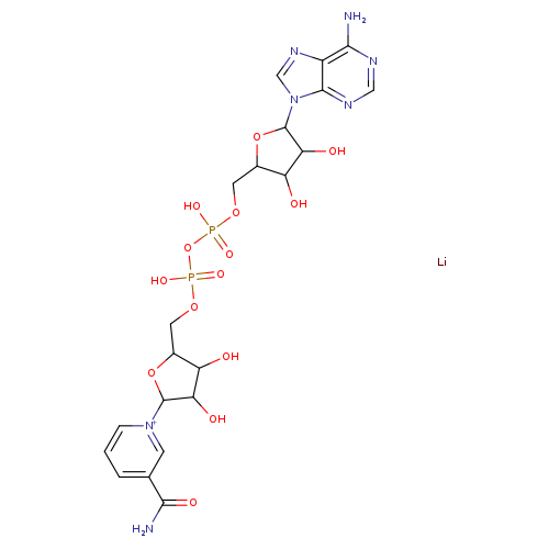 β-Nicotinamide adenine dinucleotide lithium salt