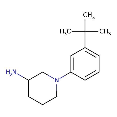 1-(3-tert-butylphenyl)piperidin-3-amine