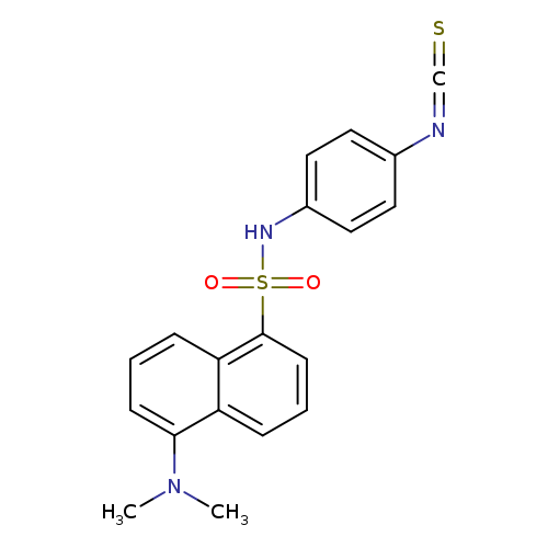 1-Naphthalenesulfonamide, 5-(dimethylamino)-N-(4-isothiocyanatophenyl)-