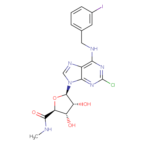 1-[2-Chloro-6-[[(3-iodophenyl)methyl]amino]-9H-purin-9-yl]-1-deoxy-N-methyl-β-D-ribofuranuronamide
