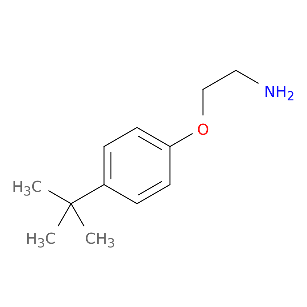 1-(2-AMINOETHOXY)-4-TERT-BUTYLBENZENE