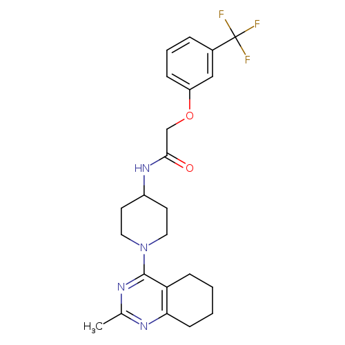 N-[1-(2-methyl-5,6,7,8-tetrahydroquinazolin-4-yl)piperidin-4-yl]-2-[3-(trifluoromethyl)phenoxy]acetamide