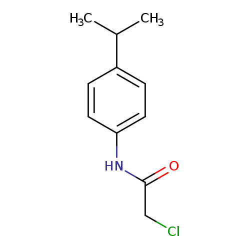N1-(4-ISOPROPYLPHENYL)-2-CHLOROACETAMIDE