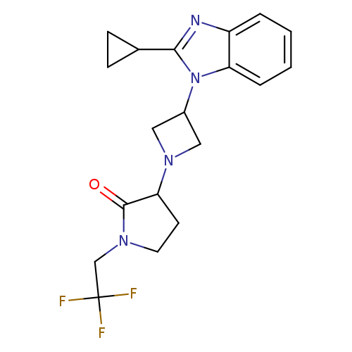 3-[3-(2-cyclopropyl-1H-1,3-benzodiazol-1-yl)azetidin-1-yl]-1-(2,2,2-trifluoroethyl)pyrrolidin-2-one