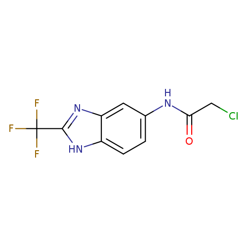 2-Chloro-n-[2-(trifluoromethyl)-1h-1,3-benzodiazol-5-yl]acetamide