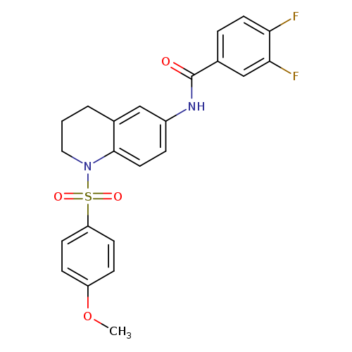 3,4-difluoro-N-[1-(4-methoxybenzenesulfonyl)-1,2,3,4-tetrahydroquinolin-6-yl]benzamide