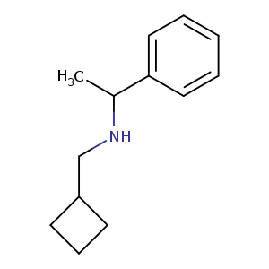 (Cyclobutylmethyl)(1-phenylethyl)amine